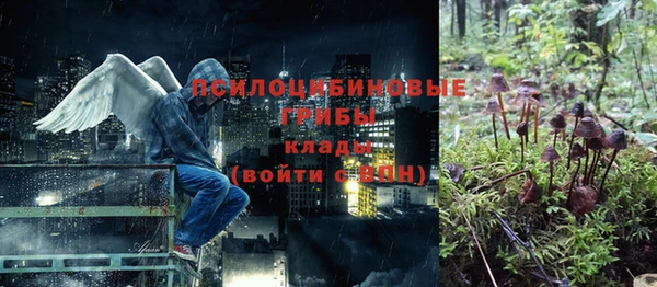 шишки Кукмор