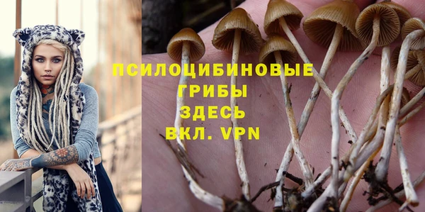 бошки Чита