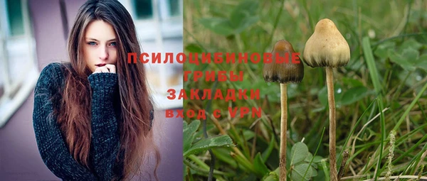 МДПВ Ладушкин
