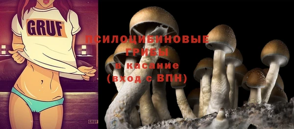 МДПВ Ладушкин
