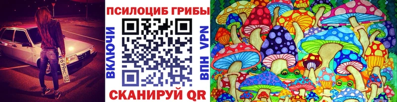 MEGA как зайти  Мостовской  Псилоцибиновые грибы Psilocybe 
